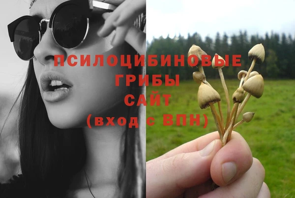 амф Баксан
