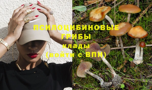 MDMA Premium VHQ Беломорск