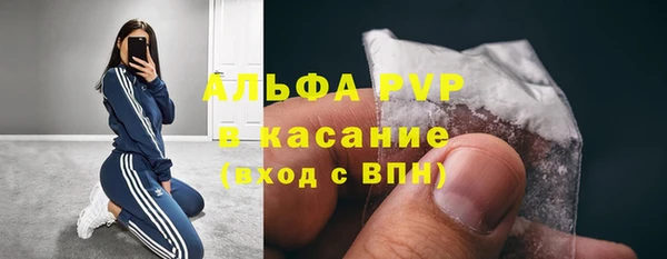 стаф Белоозёрский