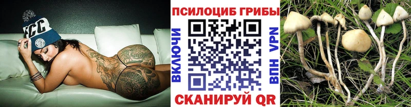 Псилоцибиновые грибы ЛСД мориарти состав Новоалександровск