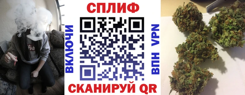 hydra маркетплейс  Новоалександровск  Бошки Шишки тримм  где можно купить наркотик 